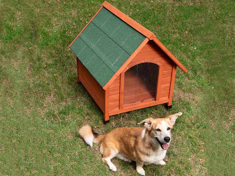 Caseta de madera para perros Tina Micasademadera2