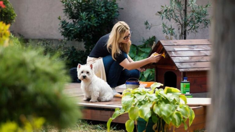 Casetas para Perros: Un Refugio Acogedor para Nuestros Fieles Amigos