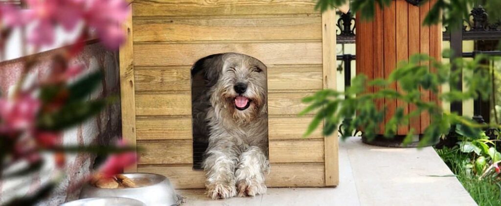 casetas de madera para perros para jardin micasademadera2