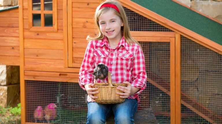 Gallineros de Madera: Una casa para tus Aves de Corral