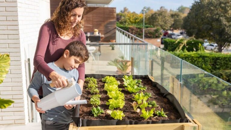 Huertos Urbanos: Cultivando la Naturaleza en el Corazón de la Ciudad