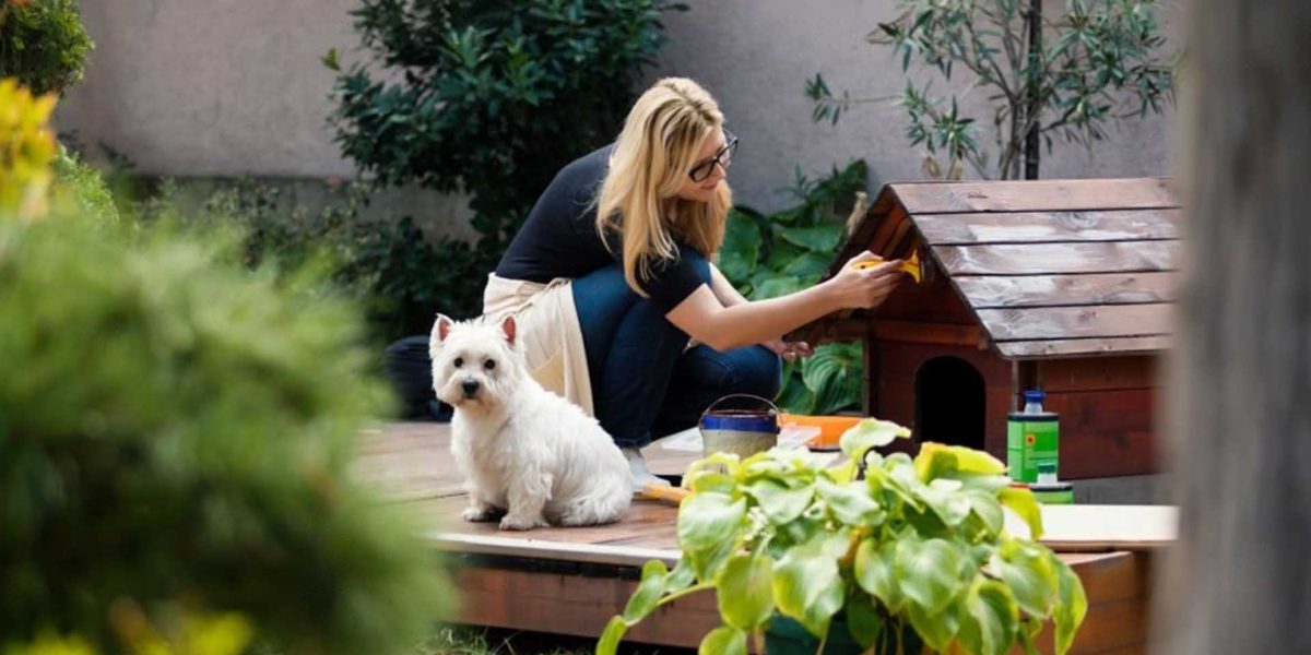casetas de madera para perros para jardin micasademadera